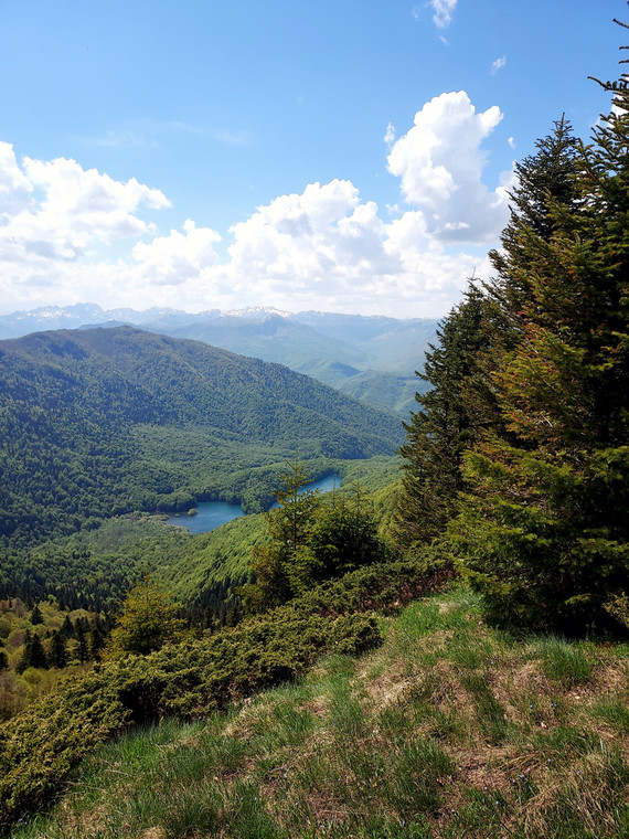 Widok na Park Narodowy Biogradska Gora