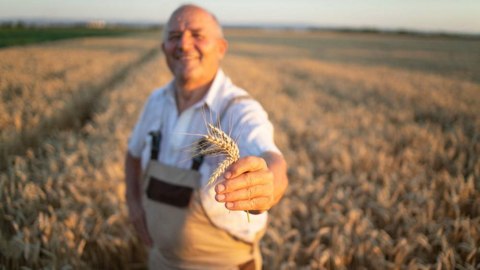 Moda na rolnictwo - jak zostać polskim farmerem