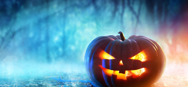 Areszt za Halloween i kara za słowa "cukierek albo psikus"? KOMENTARZ Tuska i Biedronia