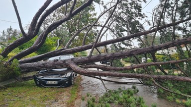 Na nagraniu wiatr wyrywa ścianę domu z oknem. Orkan Ciaran sunie w stronę Polski