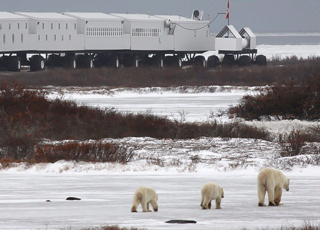 Tundra Lodge Rolling Hotel w Manitobie, Kanada