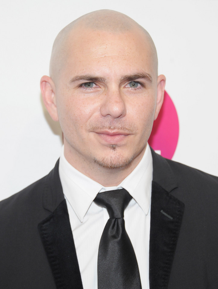 Pitbull (fot. Getty Images)