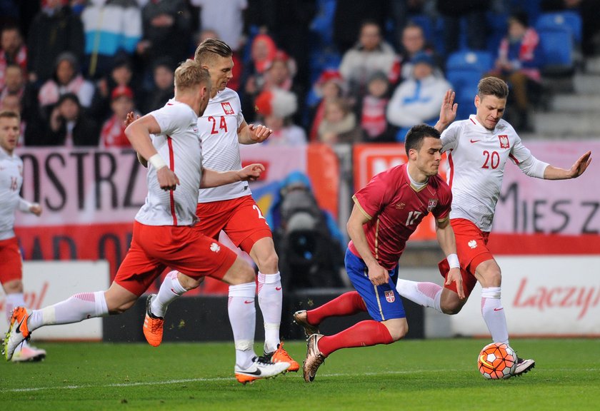 Polska – Serbia. Zobacz wyjątkowe zdjęcia z meczu w Poznaniu