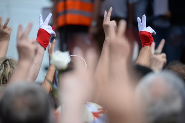 Niedzielną demonstrację zorganizowały partie i środowiska opozycyjne, m.in. PO, Nowoczesna, KOD, Obywatele RP, Partia Razem.