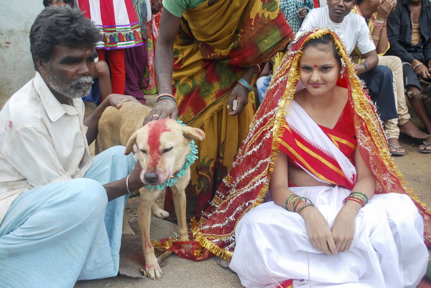 W Indiach 18-latka wyszła za psa!