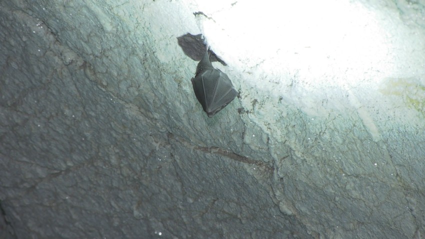 Ledena pećina kod Nove Varoši