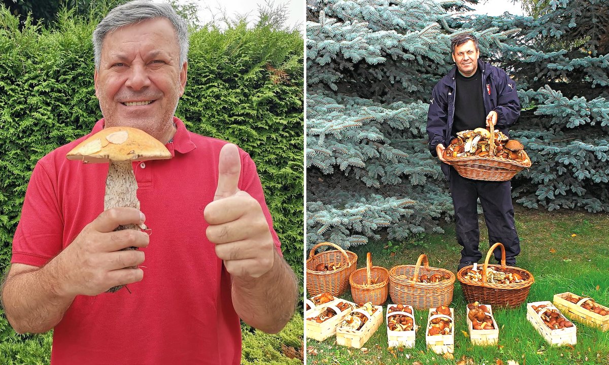 Janusz Piechociński o grzybach. "Wyniosłem 64 kg prawdziwków"