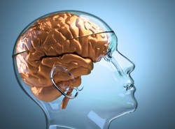 Ludzie i neandertalczycy mieli podobne mózgi