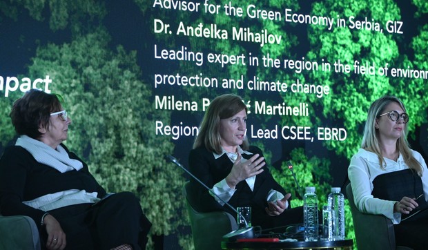 Panel 3: Navigating ESG landscape: Legal frameworks & corporate impact