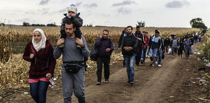 Wiadomo już ilu uchodźców przyjmie Polska