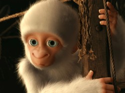 Paweł Królikowski małpą w Barcelonie