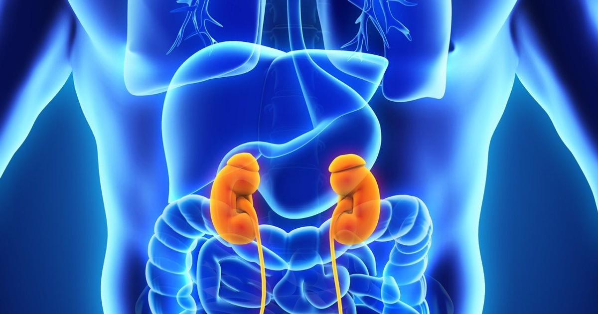 Choroba nerek rozwija się po cichu. Te objawy łatwo przeoczyć