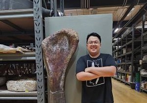 Novootkriveni dinosaurus