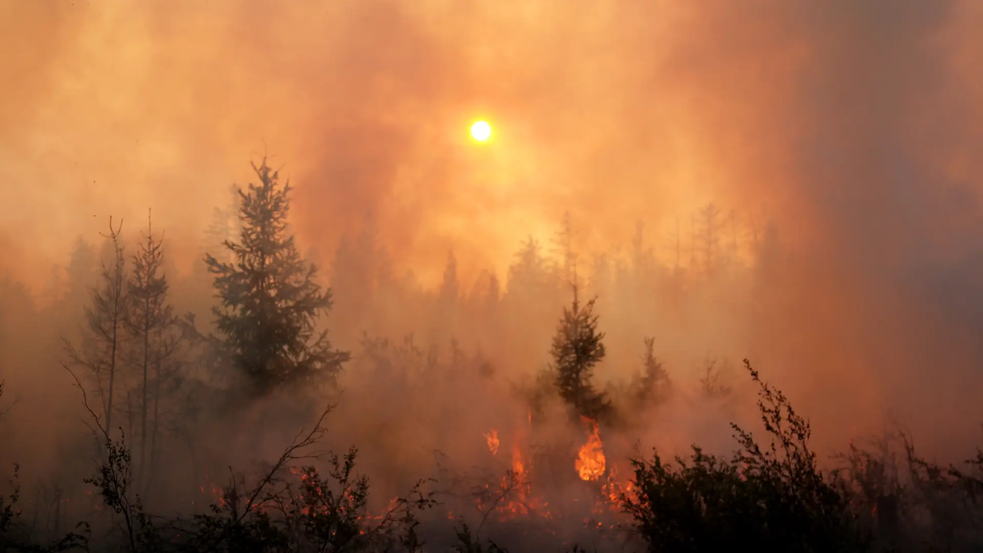 Google zablokuje reklamy w treściach negujących zmiany klimatu