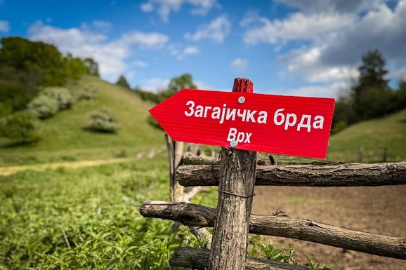 Šansa za biznis na svega 80 km od Beograda! Prodaje se ogroman plac u Deliblatskoj peščari, idealan za luksuzni kamp: Vlasnik nudi i jednu neočekivanu pomoć
