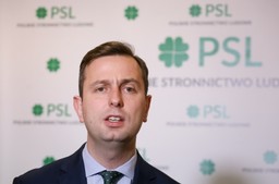PSL: Komisja weryfikacyjna nie jest "lekiem na całe zło"