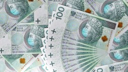 Tarcze antykryzysowe: Pomoc nie zawsze trafiała do słabych