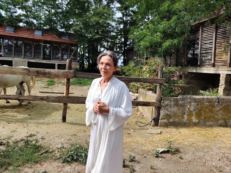 Vesna Trivalić