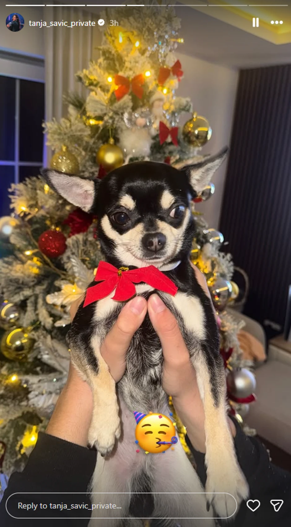 Tanja i Muki okitili novogodišnju jelku