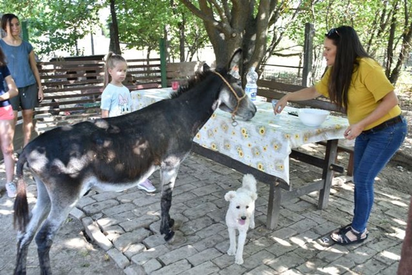 Bački zoo vrt u Kovilju