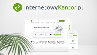 Błyskawiczna wymiana waluty – zrób to on-line