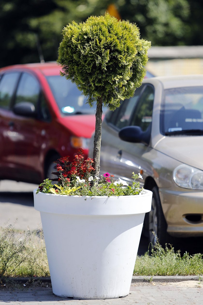 Donice na ulicach Siemianowic Śląskich