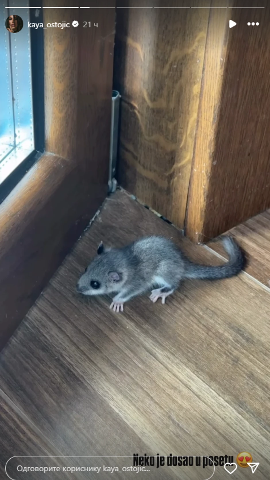 Miš na odmoru Kaje Ostojić