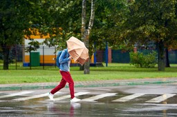 silny wiatr zaatakuje polskę. imgw zapowiada alerty, a porywy sięgną 80 km/h. gdzie będzie najgorzej? imgw alert