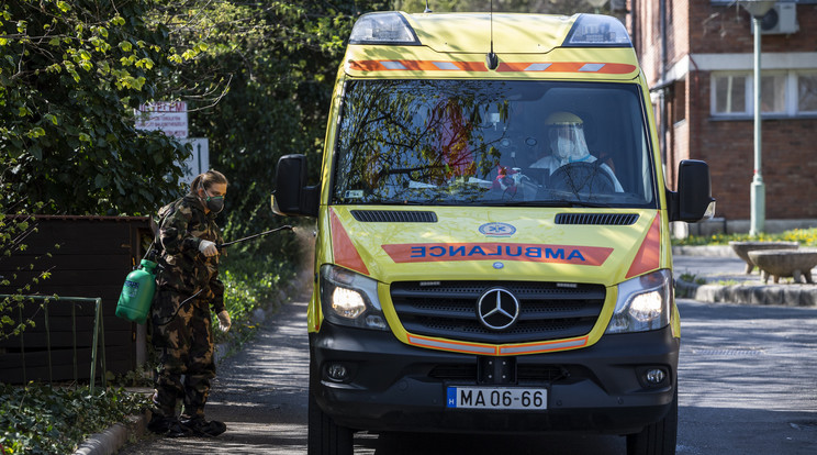 A Police információi szerint a sofőr egy vadat akart kikerülni /Illusztráció: MTI/Mónus Márton