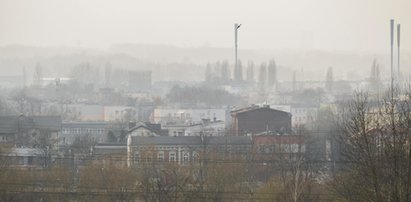 Tym sposobem załagodzisz skutki życia w smogu