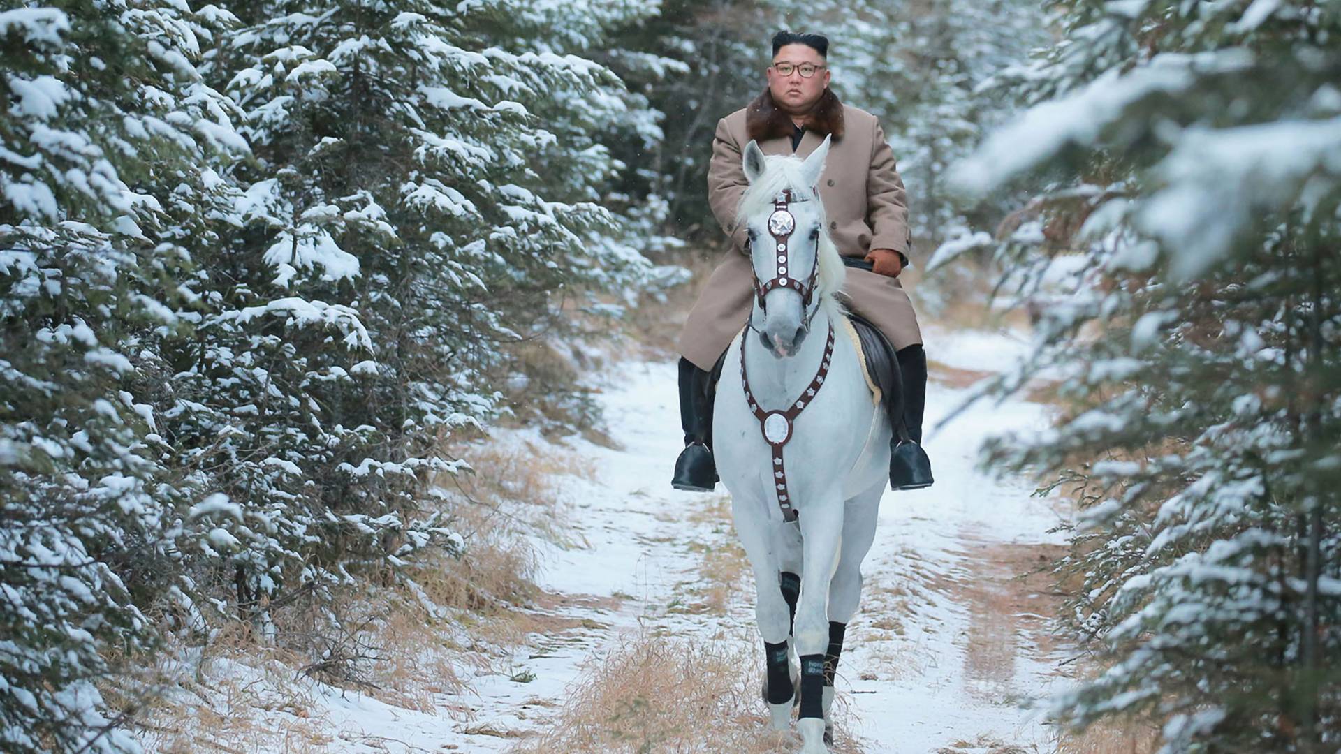 Fotke Kim Džong Una na belom konju su blago