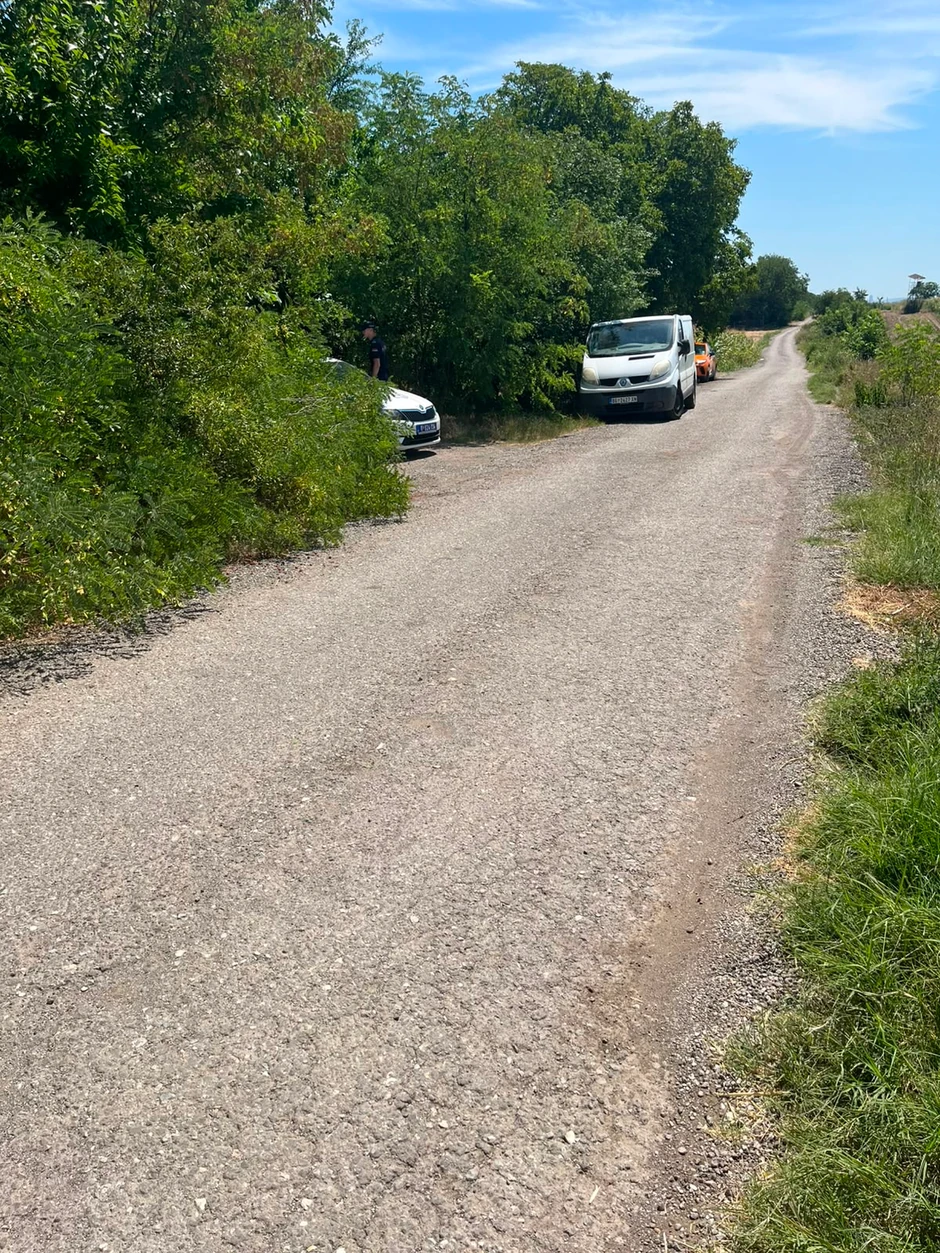 Pucnjava u azilu u Batajnici