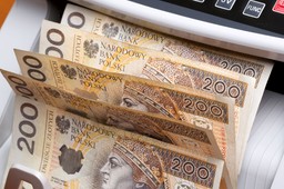 symbol upokorzenia niepełnosprawnych, a nie zasiłek dla umiarkowanych. 1 mln polaków co miesiąc ma ironię w oczach