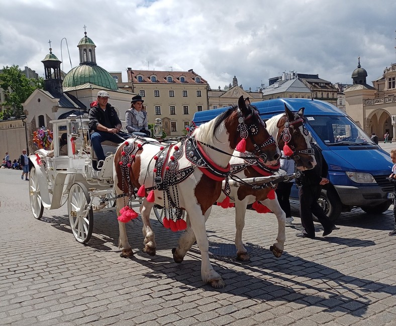 Dorożka w Krakowie