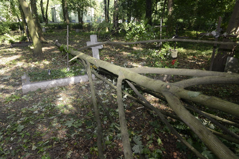 Cmentarz Grabiszyński zamknięty aż do piątku