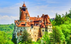 W zamku Drakuli darmowe ukłucia... szczepionki przeciw Covid-19