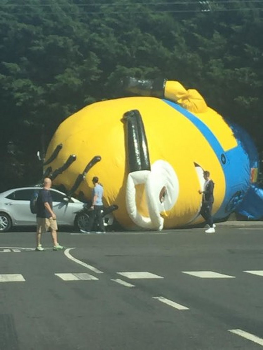 Gigantyczny Minionek zablokował drogę