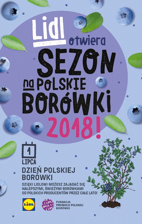 KV Borówka pop lidl