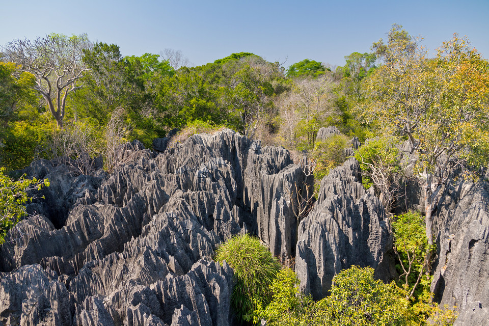 Park Narodowy Tsingy de Bemaraha, Madagaskar