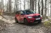 Skoda downhill