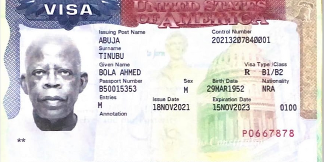 Tinubu's valid American visa surfaces amid denial rumours | Pulse Nigeria