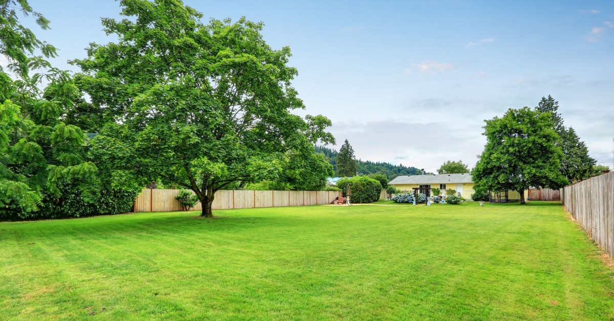 Zasiedzenie - po ilu latach? Kiedy zasiedzenie jest możliwe? Gdzie złożyć wniosek o zasiedzenie?
