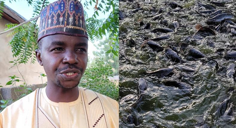 Mr Adamu Mahmuda, a civil servant in Gombe, who is into fish farming