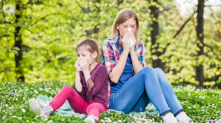 Nyáron az allergia megnehezíti a szabadtéri programokat is