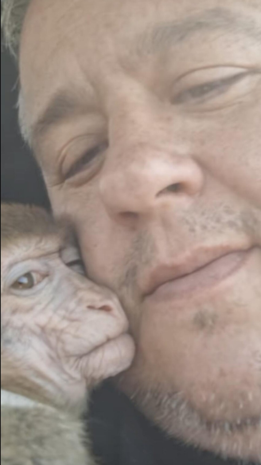 Nemanja Nikolić sa majmunom