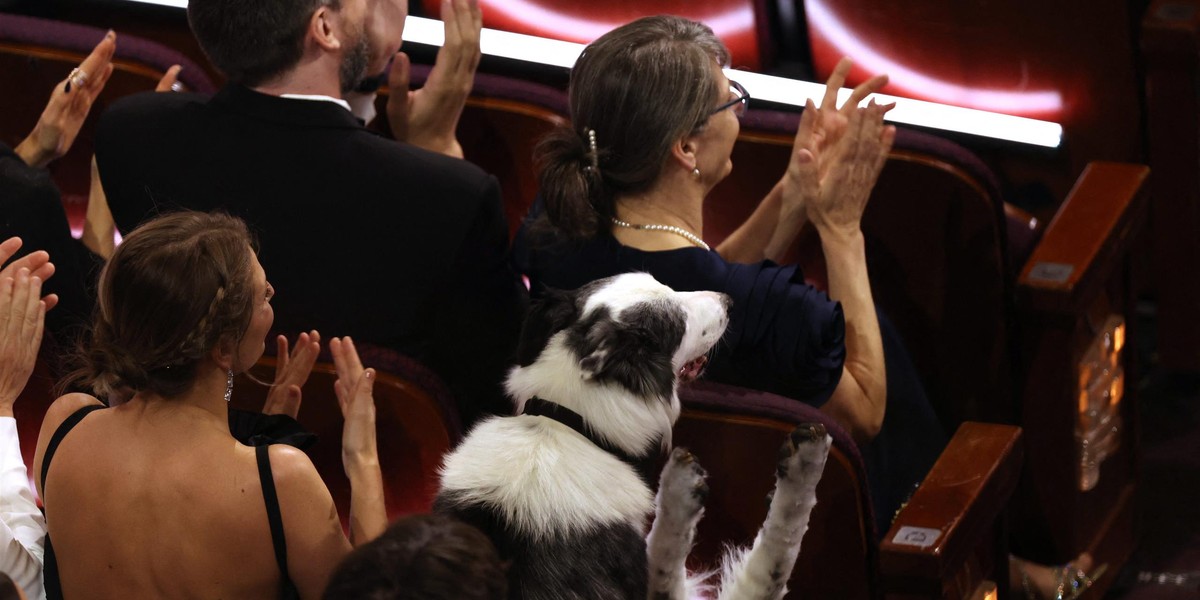 To on skradł oscarowy wieczór! Załatwił swoje potrzeby w Alei Sław.