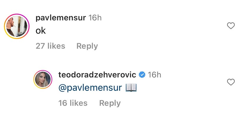 Komentari na slikama Teodore Džehverović