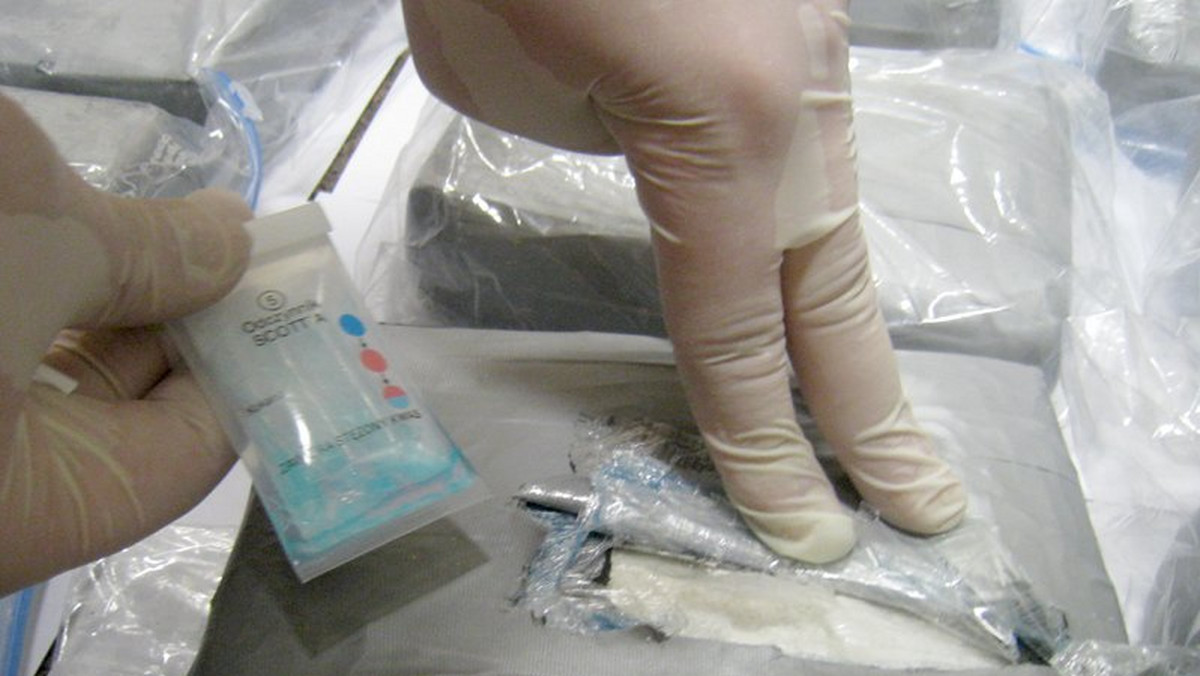 Policjanci z CBŚ rozbili zorganizowaną grupę zajmującą się przemytem dużych ilości narkotyków. Jej członkowie przewieźli z Dominikany ponad 200 kg kokainy. Zatrzymano 15 osób zamieszanych w ten "biznes". Część z nich została zwerbowana po zamieszczeniu ogłoszenia o… chęci sprzedania swoich organów.