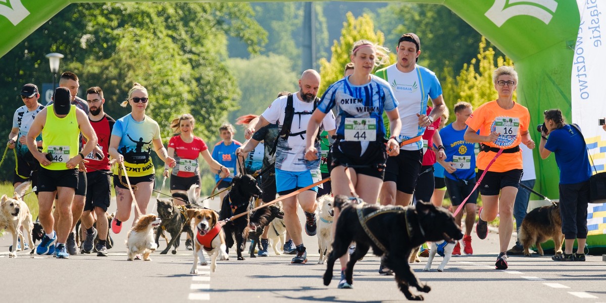 Psi Maraton po raz pierwszy zorganizowano w Parku Śląskim