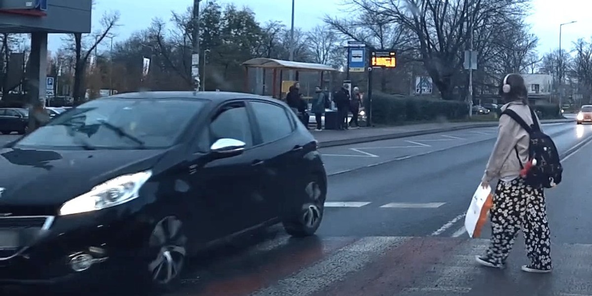 Kierująca peugeotem ukarana za nieustąpienie pierwszeństwa pieszemu.